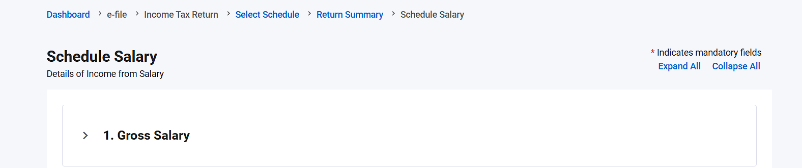 Schedule Salary page with the Gross Salary section at the top